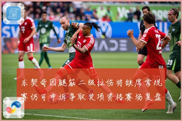 东契奇因腿筋二级拉伤将缺席常规赛仍可申诉争取奖项资格赛场复盘：最新赛事动态与深度分析