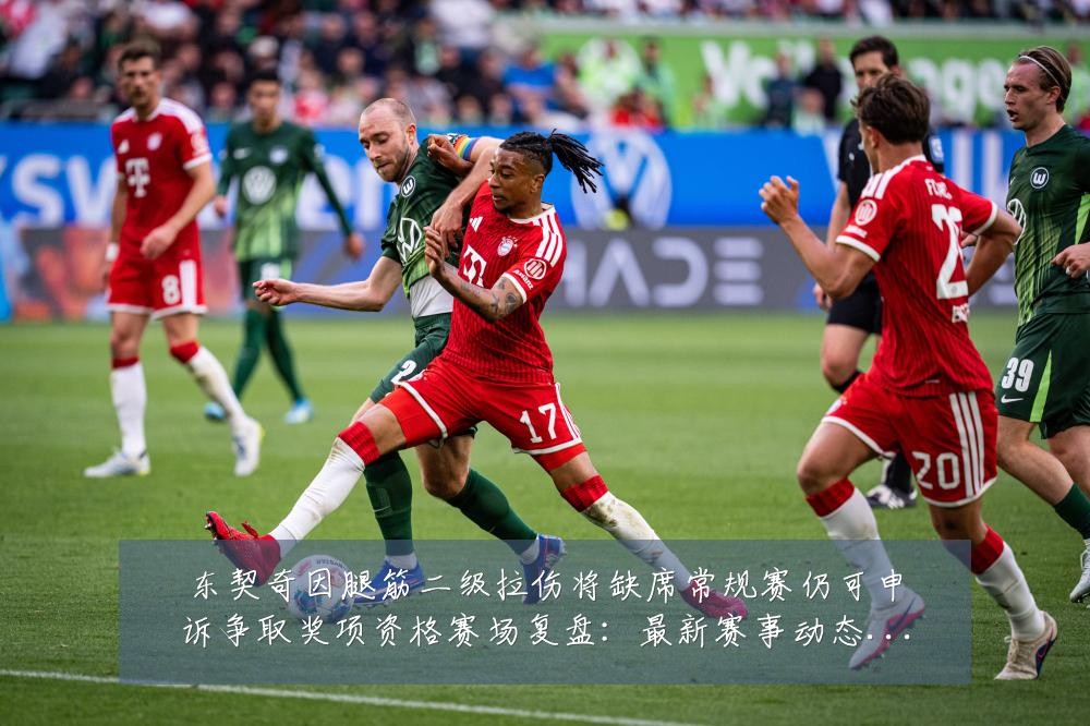 东契奇因腿筋二级拉伤将缺席常规赛仍可申诉争取奖项资格赛场复盘:最新赛事动态与深度分析